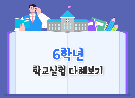 [교과연계 [26년 2학기] ]  6학년 학교실험 다해보기